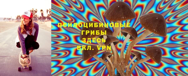 соль ск Нефтекумск