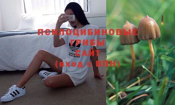 наркотики Новодвинск