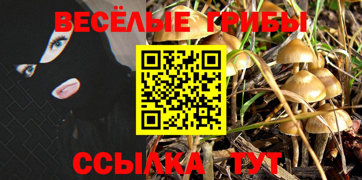 Псилоцибиновые грибы Psilocybe Октябрьский